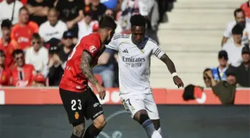 لاعب بايرن ميونخ السابق: لا أحب فينيسيوس.. وريال مدريد مكروه في قارة أوروبا